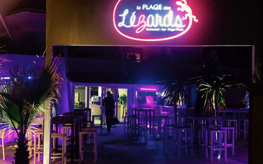 Nouvelle cuisine pour la plage des Lézards !