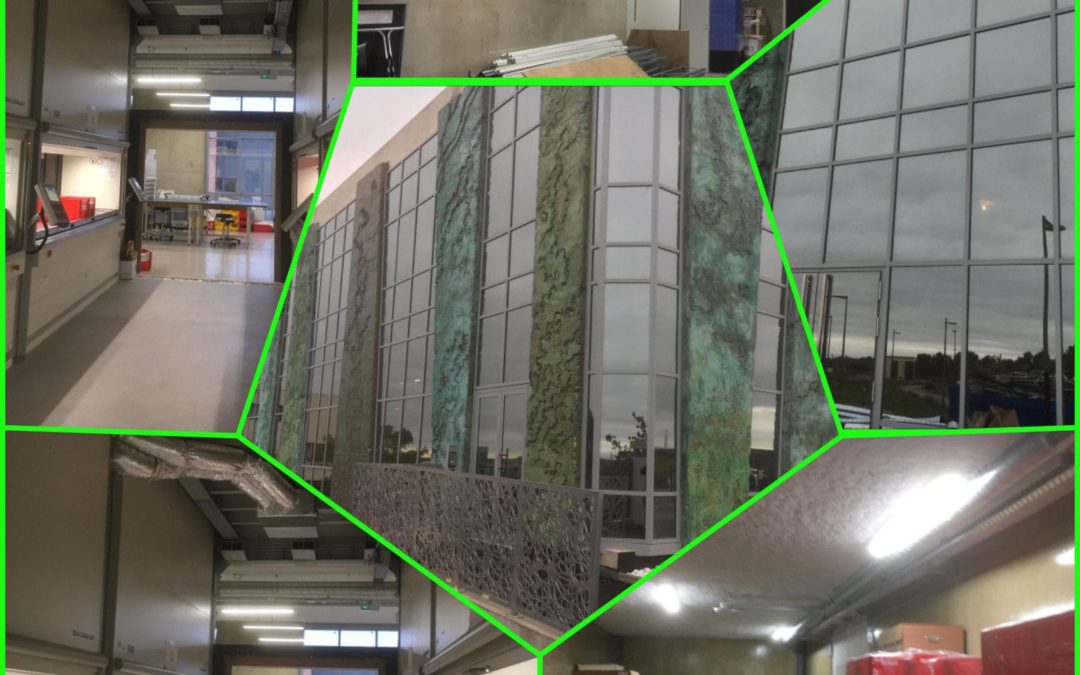 Extension entrepôt IDvet
