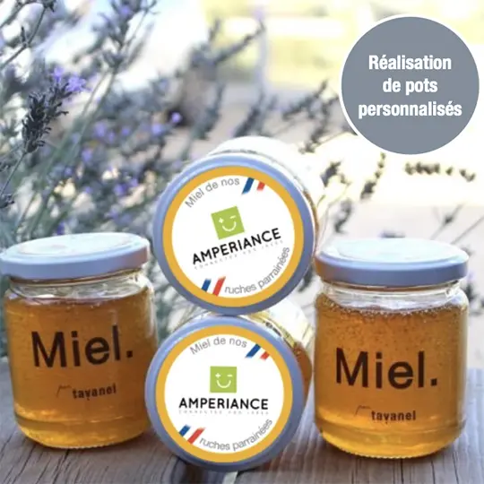 amperiance partenariat ruche abeille