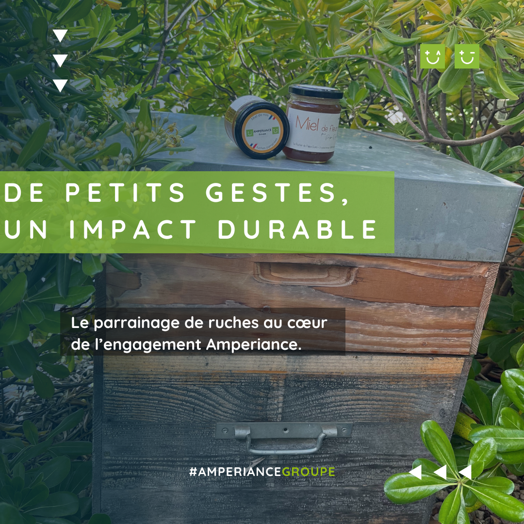 Journée mondiale des abeilles : un engagement durable qui bourdonne chez Amperiance